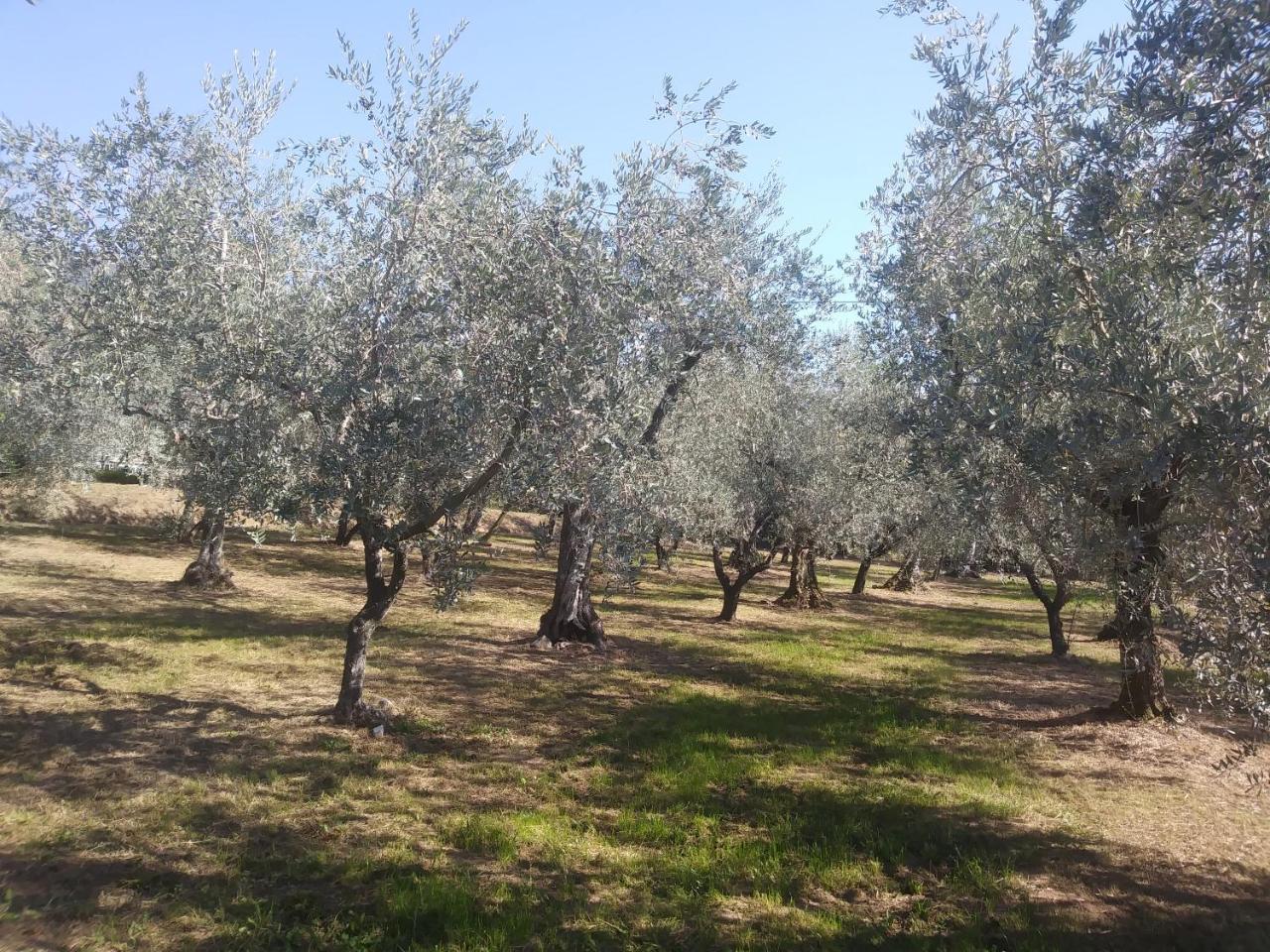 Ai Bastiani Capannori Exterior foto